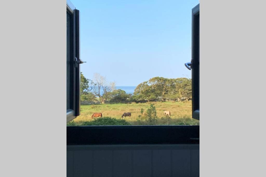 Lle Mary - Beautiful Views, Hot Tub, Secluded, Dog Welcome, Barmouth * Llanddwywe